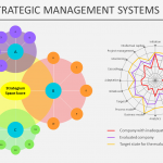 Auditing Strategic Management Systems as a Business Service