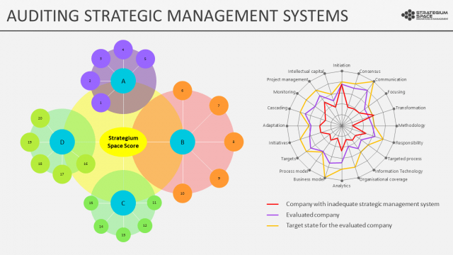 Auditing Strategic Management Systems as a Business Service